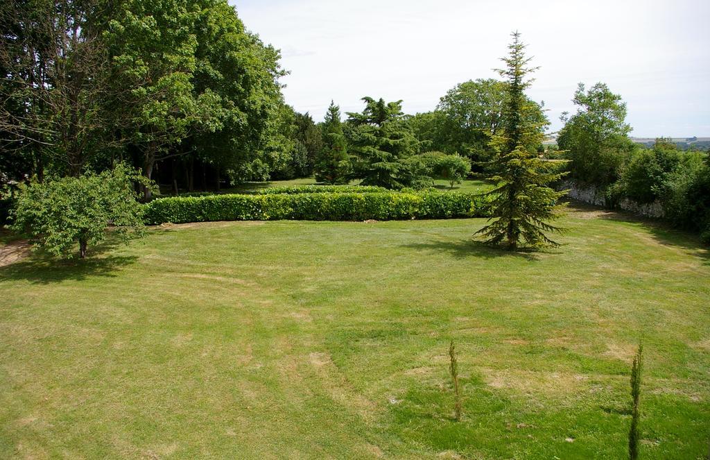 Villa L'Olivier Monts-sur-Guesnes Esterno foto