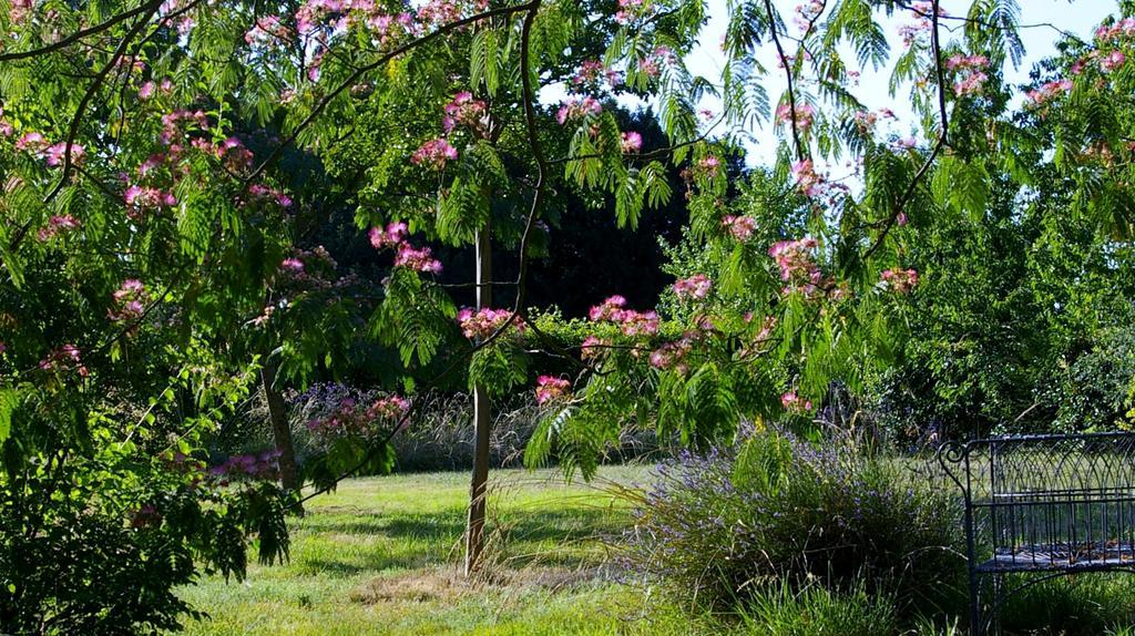 Villa L'Olivier Monts-sur-Guesnes Esterno foto