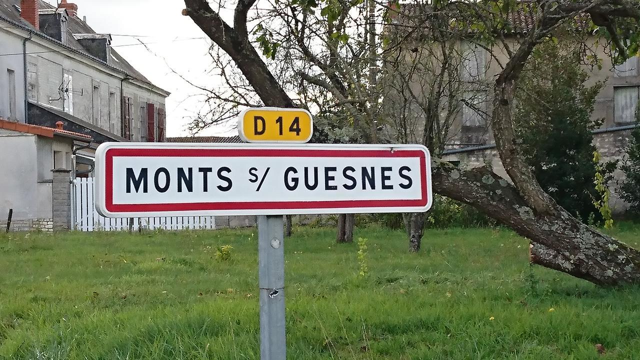 Villa L'Olivier Monts-sur-Guesnes Esterno foto
