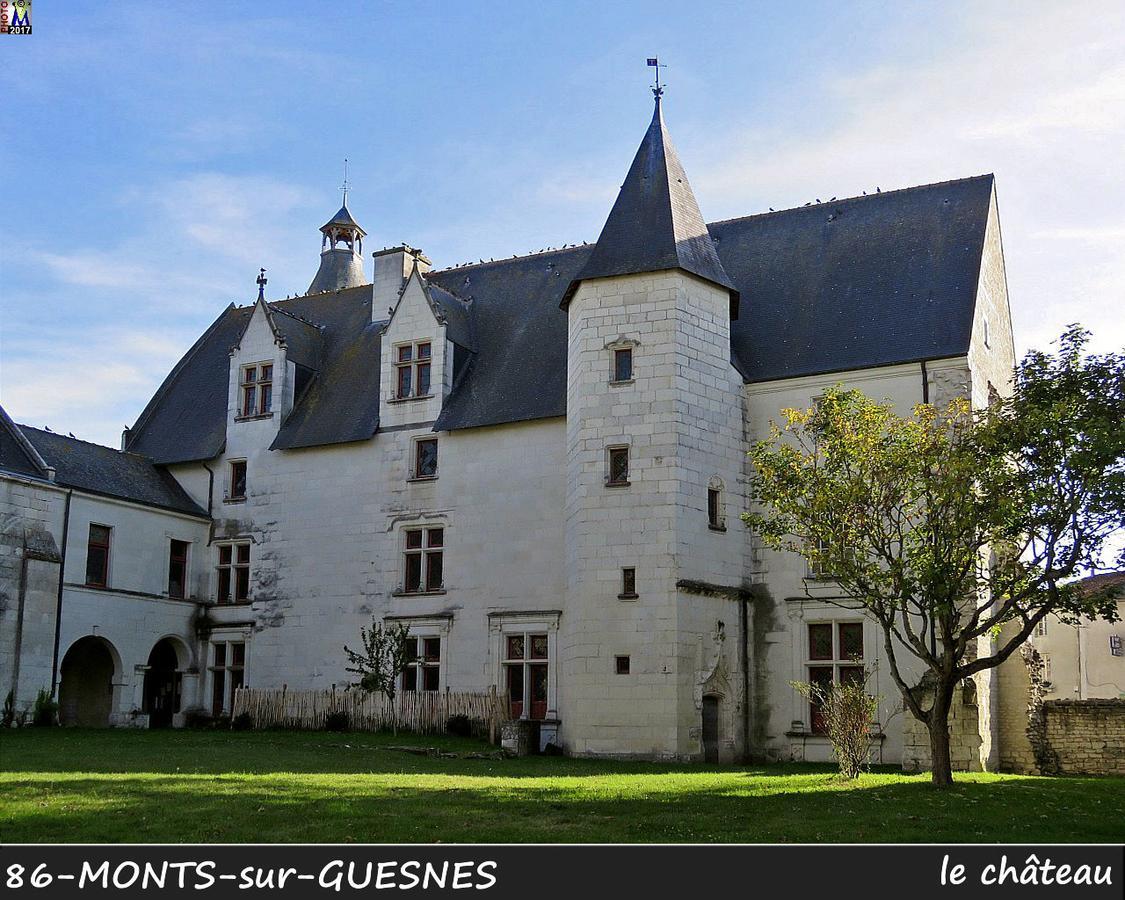 Villa L'Olivier Monts-sur-Guesnes Esterno foto