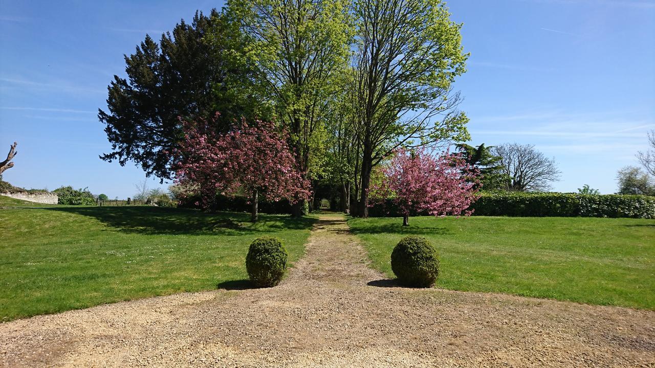 Villa L'Olivier Monts-sur-Guesnes Esterno foto