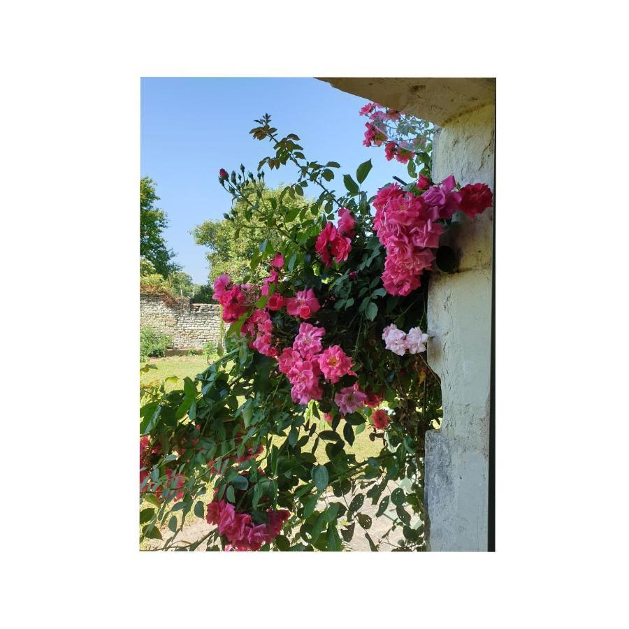 Villa L'Olivier Monts-sur-Guesnes Esterno foto