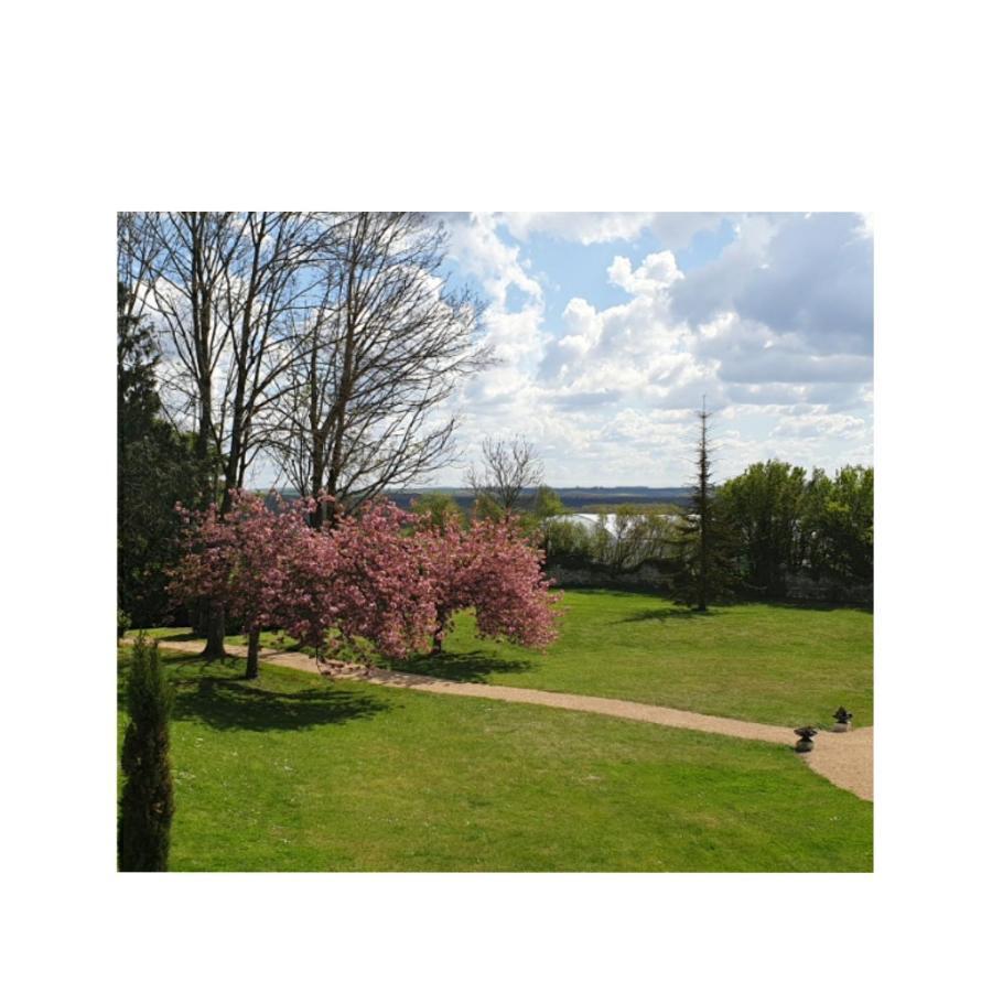 Villa L'Olivier Monts-sur-Guesnes Esterno foto